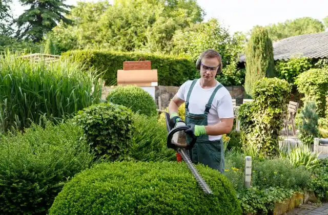 landscaping services United States
